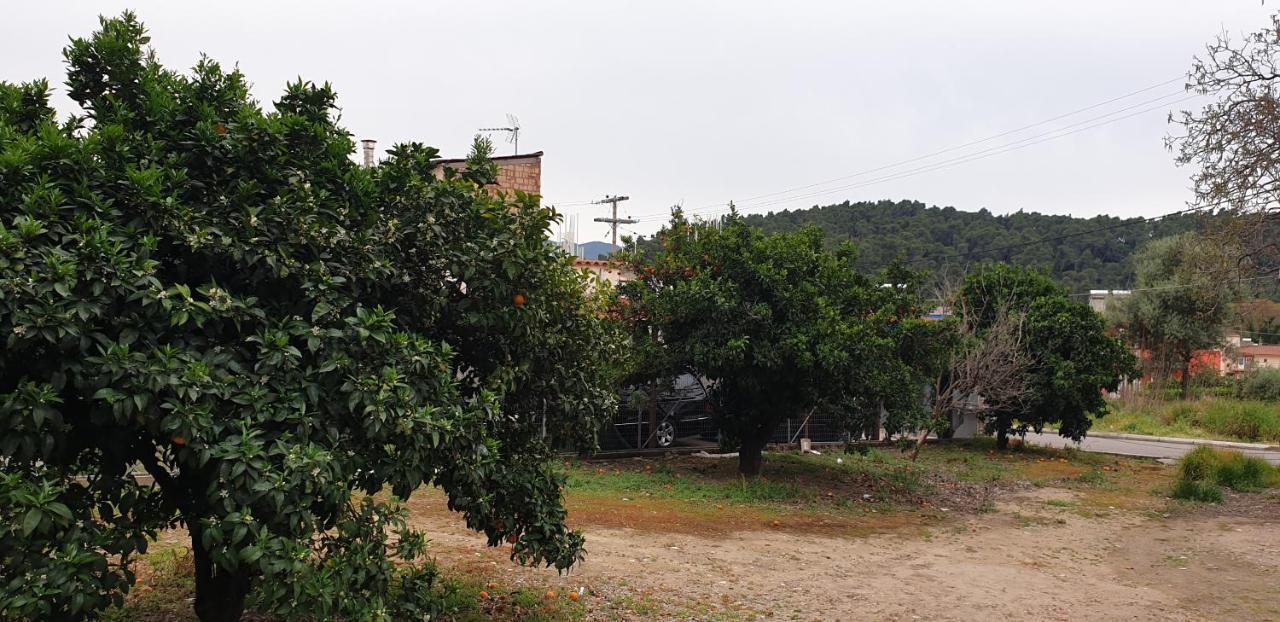 Walnut Home Apartment Near Ancient Olympia Kréstena Екстериор снимка
